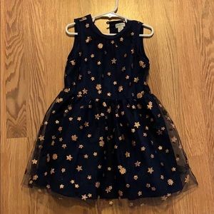 J crew crew cuts toddler dress.